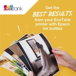 Epson T6642