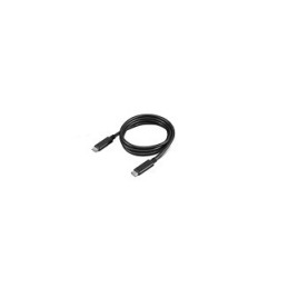 Lenovo 4X90U90619 cable USB USB 3.2 Gen 2 (3.1 Gen 2) 1 m USB C 10 Gbit s 100 W Negro