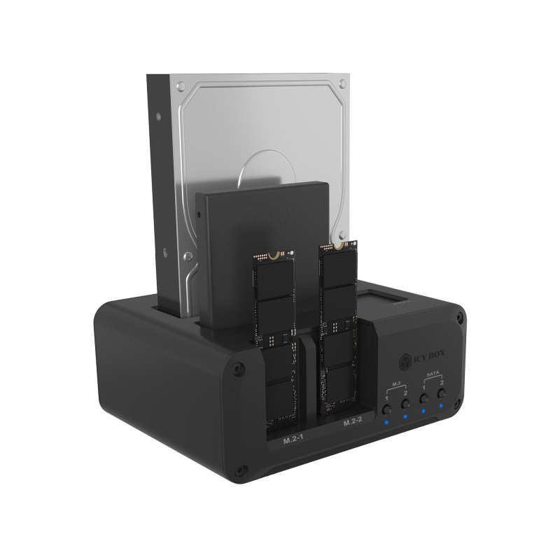 ICY BOX IB-2925MS-CU31 USB 3.2 Gen 2 (3.1 Gen 2) Type-C Nero