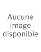 registrare/riprodurre di programmi